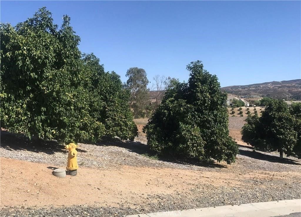 38538 Martin Ranch Road, Temecula, CA 92592 — photo 4