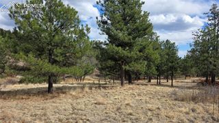 2002 Comanche Circle, Florissant, CO 80816