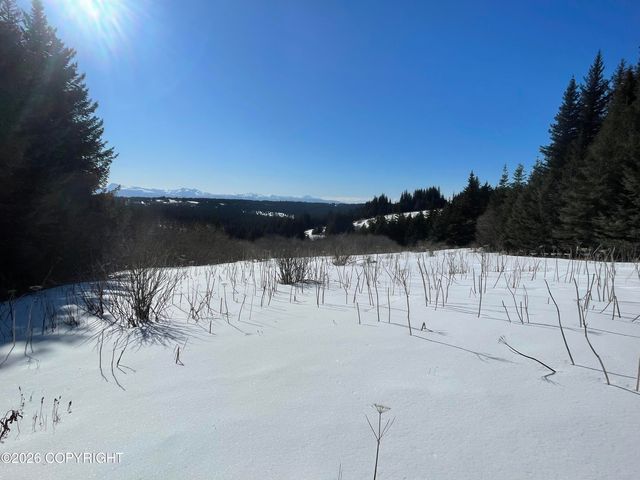 62091 Crossman Ridge Road, Homer, AK 99603