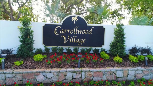 14101 RIVERSTONE DRIVE, Tampa, FL 33624