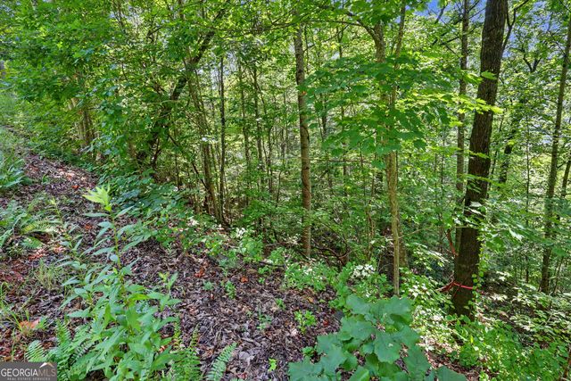0 Waterfall Drive 5D, Clayton, GA 30525