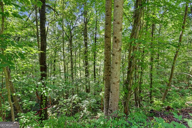 0 Waterfall Drive 5D, Clayton, GA 30525