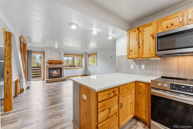 80 Cove Boulevard 103, Dillon, CO 80435