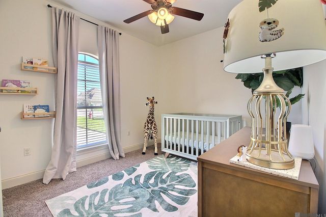 13348 Autumn Run Dr, Walker, LA 70785