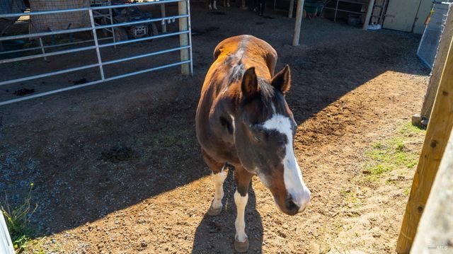 487 Ormsby Ln, Petaluma, CA 94954