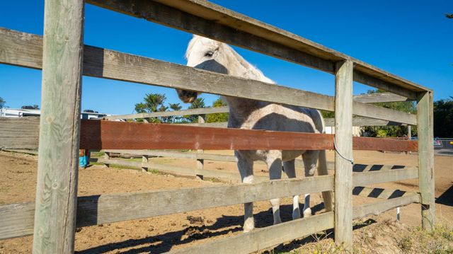 487 Ormsby Ln, Petaluma, CA 94954