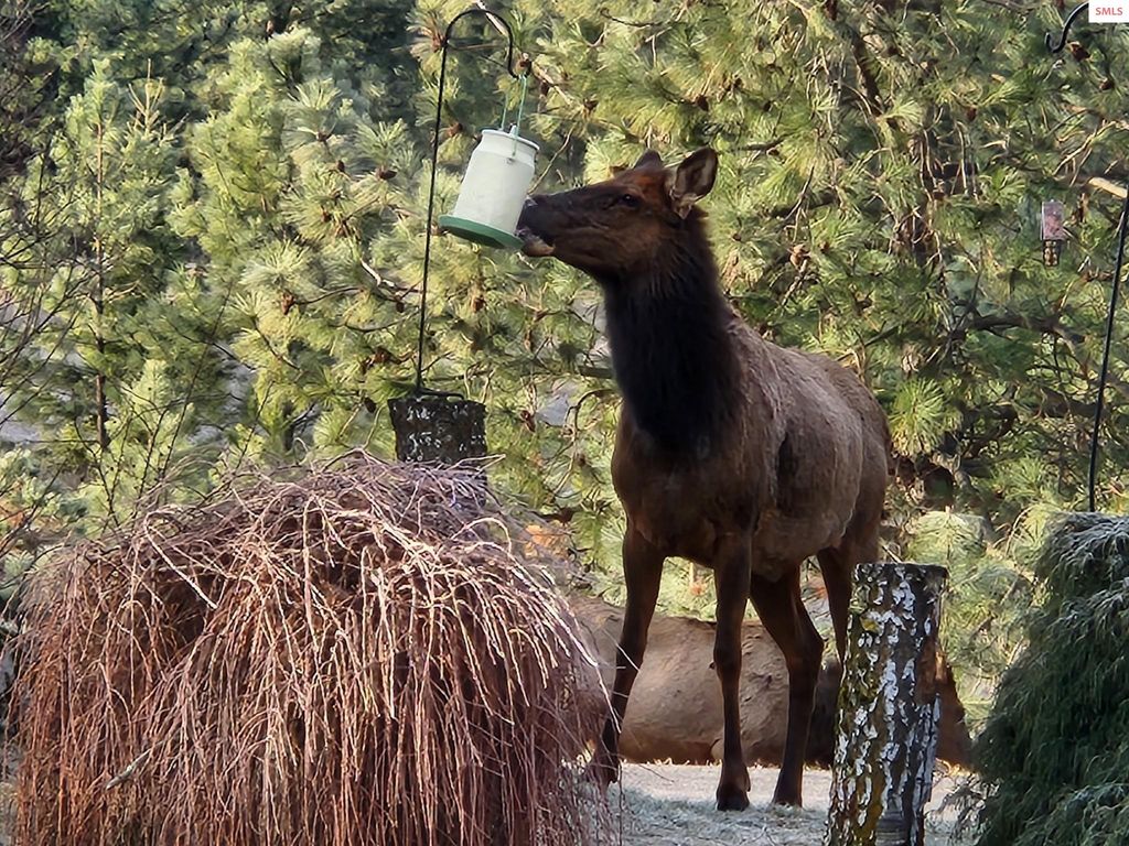 877 Heath Lake Road, Sagle, ID 83860 photo 15