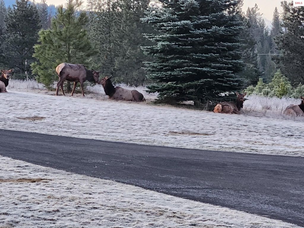 877 Heath Lake Road, Sagle, ID 83860 photo 16