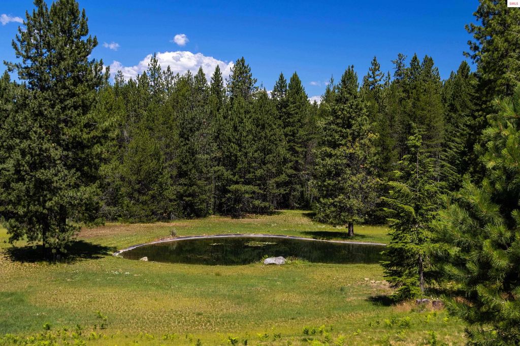 877 Heath Lake Road, Sagle, ID 83860 photo 53