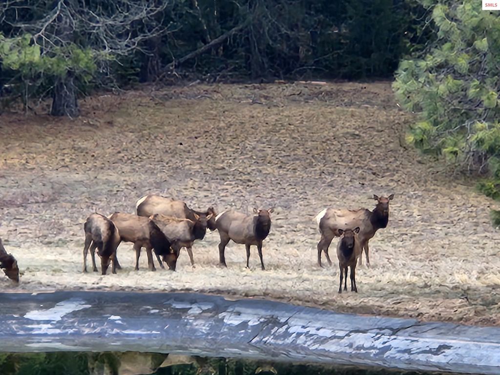 877 Heath Lake Road, Sagle, ID 83860 photo 54