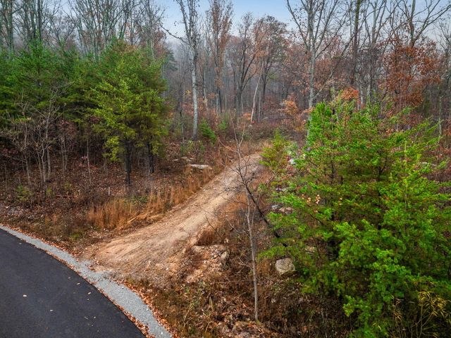 8037 Rocky Ledge Drive, Hixson, TN 37343