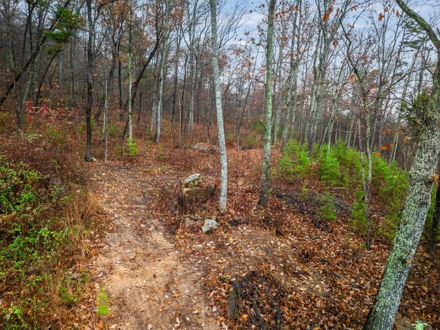 8037 Rocky Ledge Drive, Hixson, TN 37343