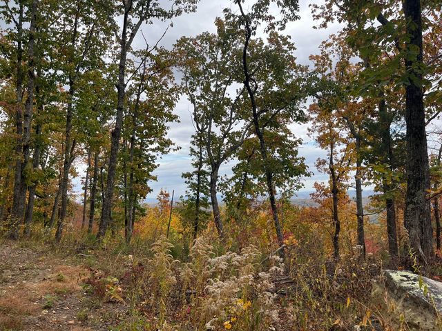 8037 Rocky Ledge Drive, Hixson, TN 37343