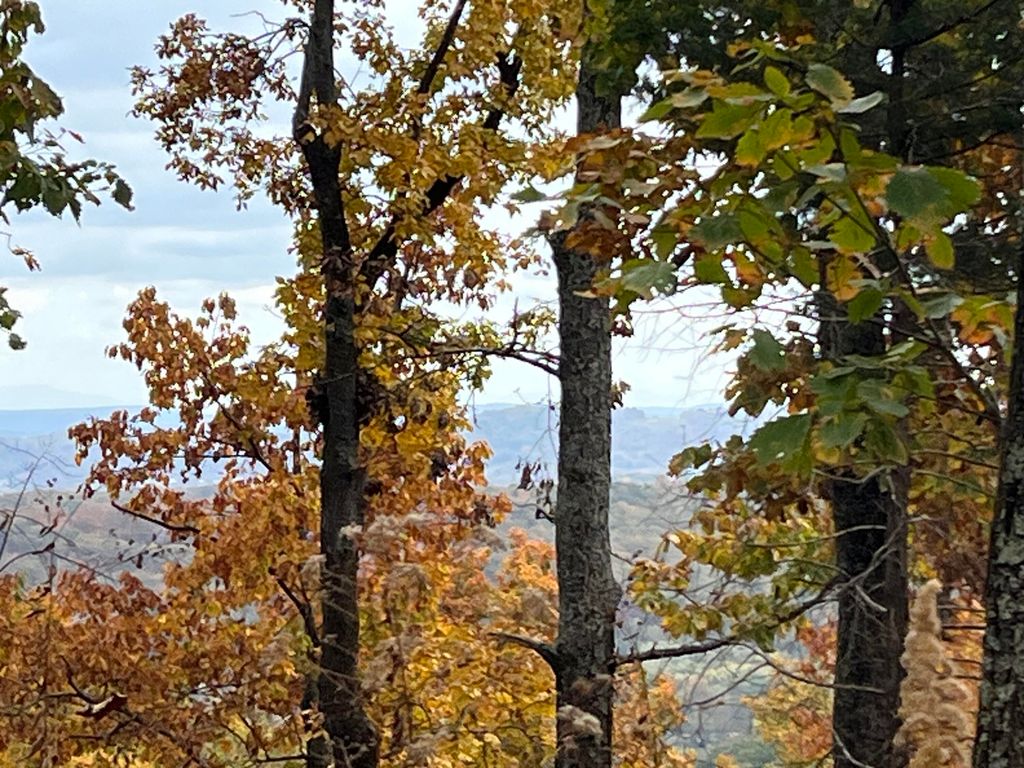 8037 Rocky Ledge Drive, Hixson, TN 37343