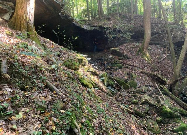 9999 Cabin Creek Road Drive, London, KY 40741