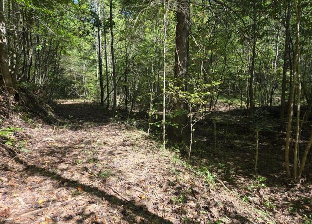 9999 Cabin Creek Road Drive, London, KY 40741