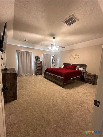 809 Buttercup Drive, Edna, TX 77957