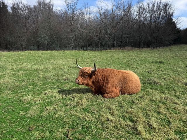 4081 FM 2736 C, Campbell, TX 75422