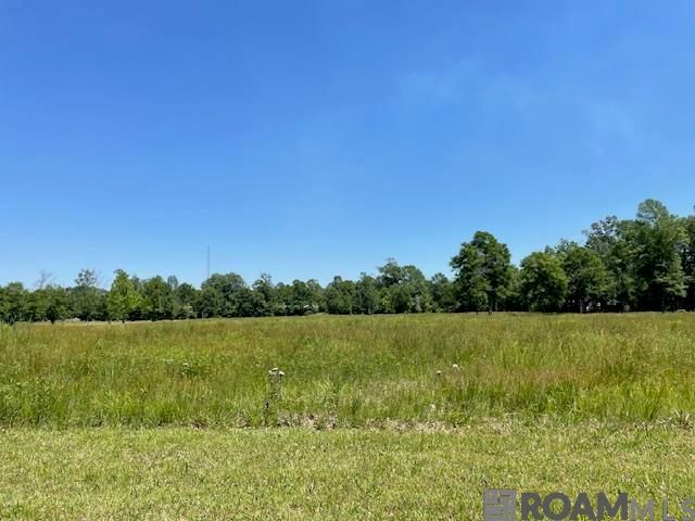 30054 N Range Rd, Livingston, LA 70754