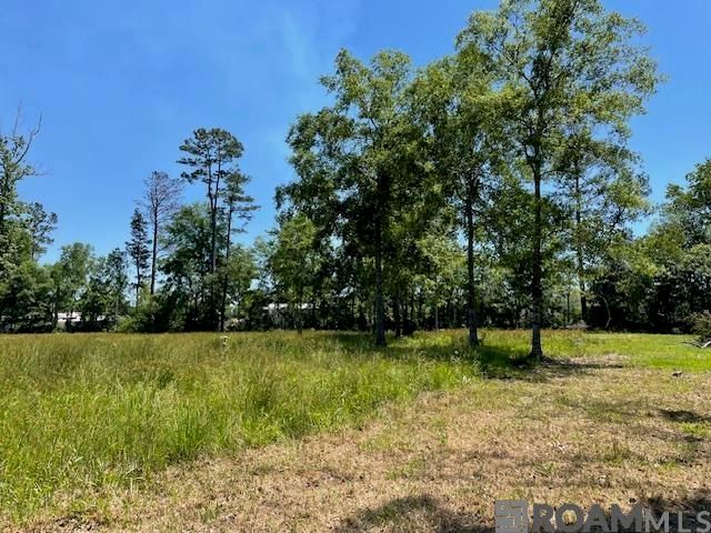 30054 N Range Rd, Livingston, LA 70754
