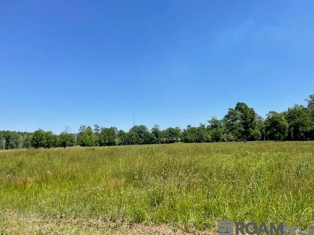 30054 N Range Rd, Livingston, LA 70754