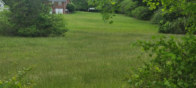 Lot 8 Edwardsville RD, Hardy, VA 24101