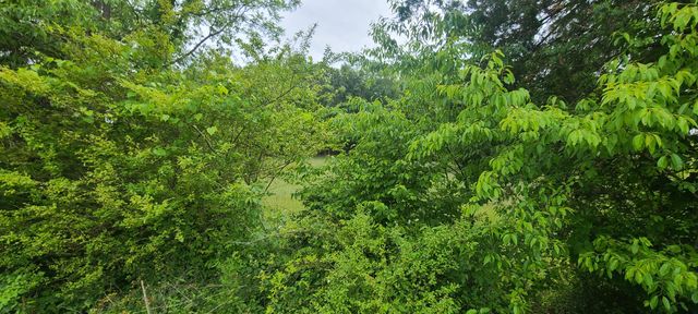 Lot 8 Edwardsville RD, Hardy, VA 24101
