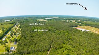 0 Big Piney Grove Road Road, Clinton, NC 28328
