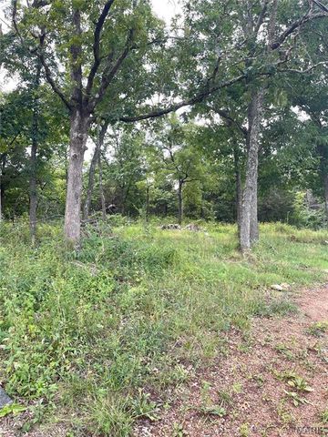 15639 State Highway 185, Potosi, MO 63664