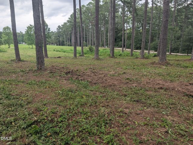 Tbd Peach Orchard Road, Louisburg, NC 27549