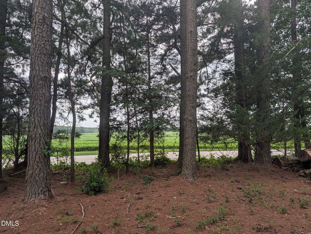 Tbd Peach Orchard Road, Louisburg, NC 27549
