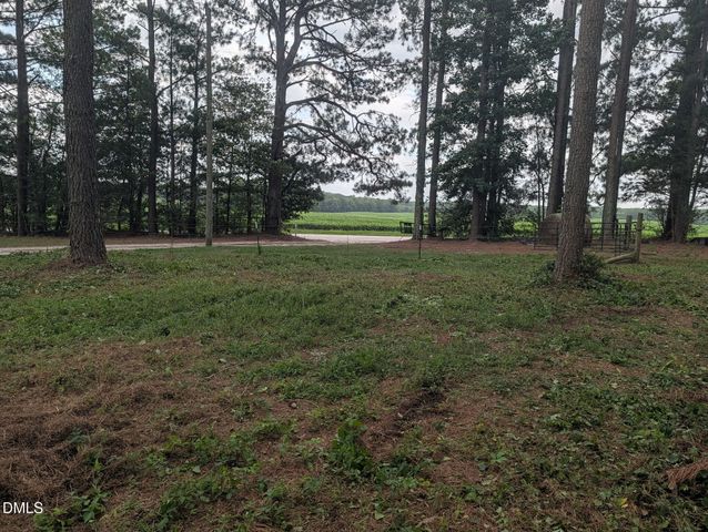 Tbd Peach Orchard Road, Louisburg, NC 27549