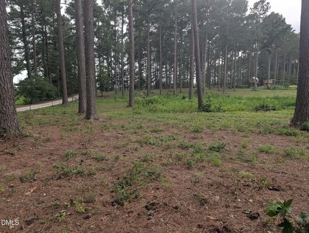 Tbd Peach Orchard Road, Louisburg, NC 27549