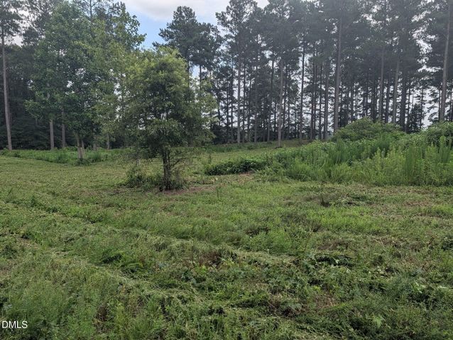 Tbd Peach Orchard Road, Louisburg, NC 27549