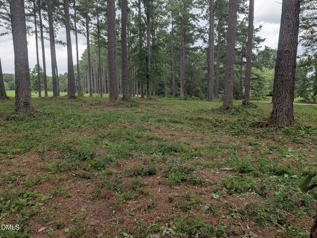 Tbd Peach Orchard Road, Louisburg, NC 27549
