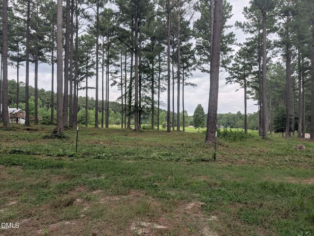 Tbd Peach Orchard Road, Louisburg, NC 27549