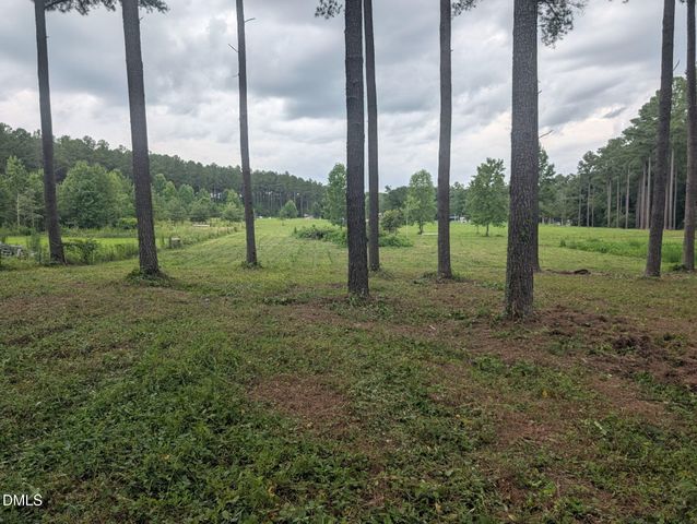 Tbd Peach Orchard Road, Louisburg, NC 27549