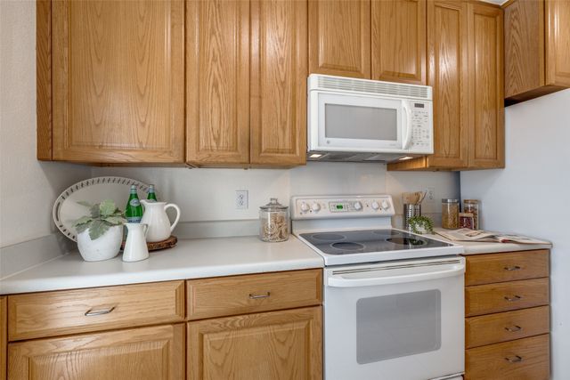 1208 Horizon Trail 3520, Arlington, TX 76011