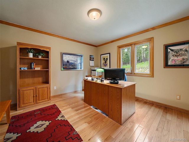 13094 Molly Drive, Conifer, CO 80433