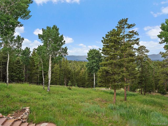 13094 Molly Drive, Conifer, CO 80433