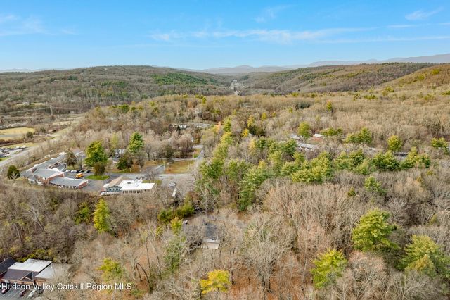 233 Forest Hill Drive, Kingston, NY 12401