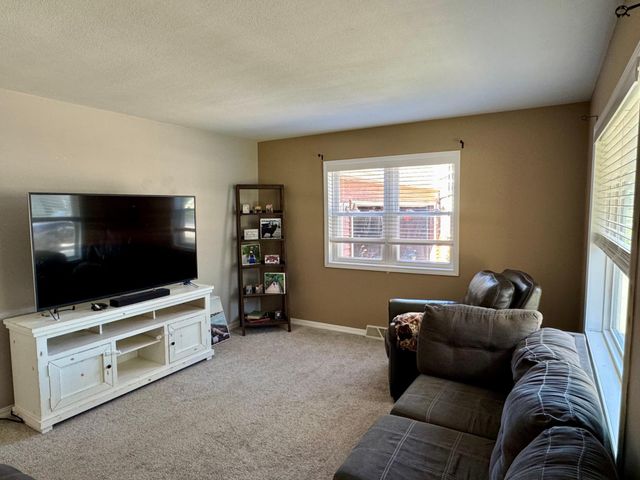 704 S 12th Street, Olivia, MN 56277