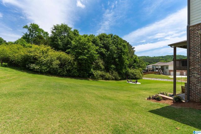 100 MACDONALD LAKE ROAD, Springville, AL 35146
