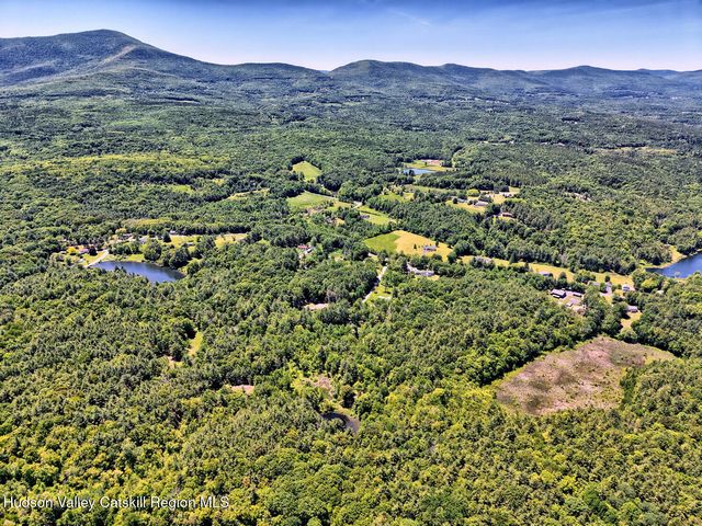 328 Woodard Road, East Durham, NY 12423