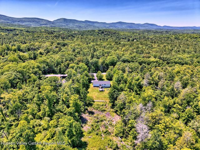328 Woodard Road, East Durham, NY 12423