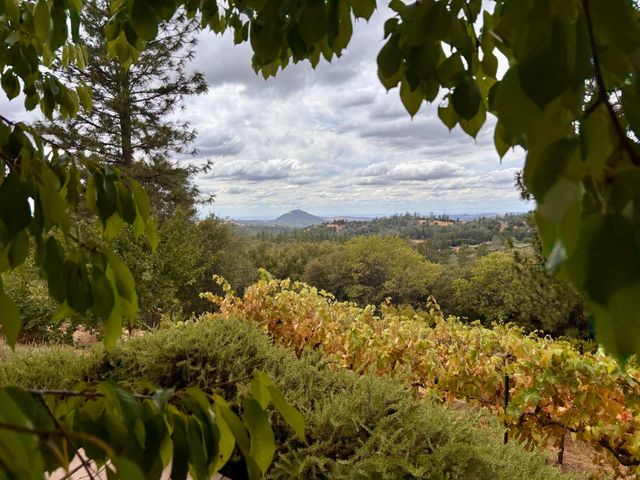 10285 Ponderosa Way, Pine Grove, CA 95665