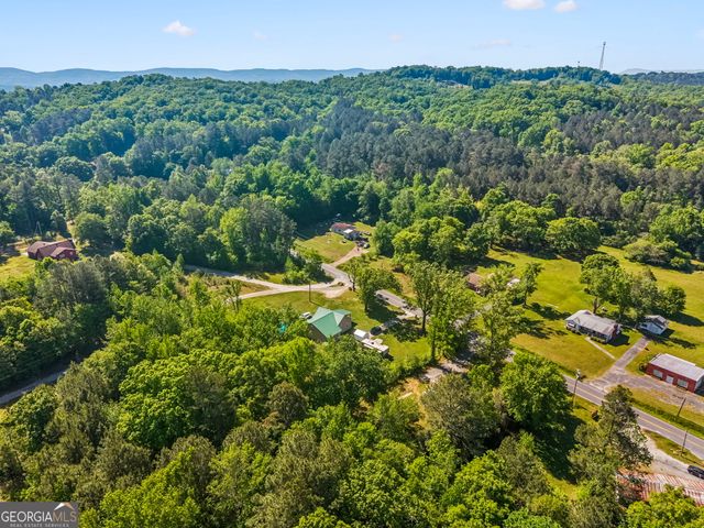 464 Hair Lake Road, Summerville, GA 30747
