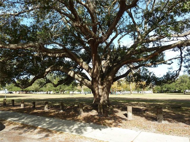 1006 W ADALEE STREET, Tampa, FL 33603