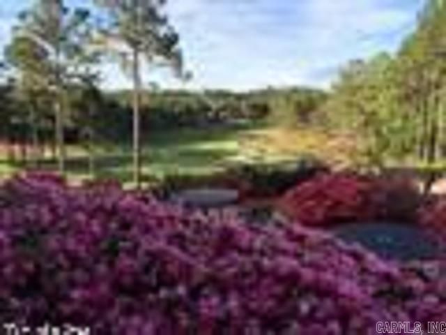 21 Casino Circle, Hot Springs Village, AR 71909