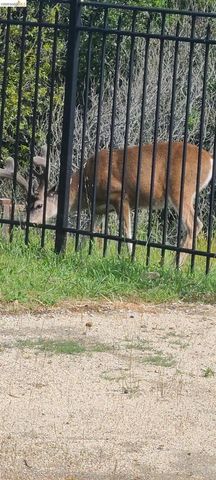 5143 5143 Saddle Brook DR, Oakland, CA 94619